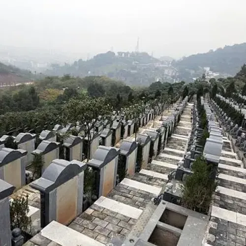 经营公墓